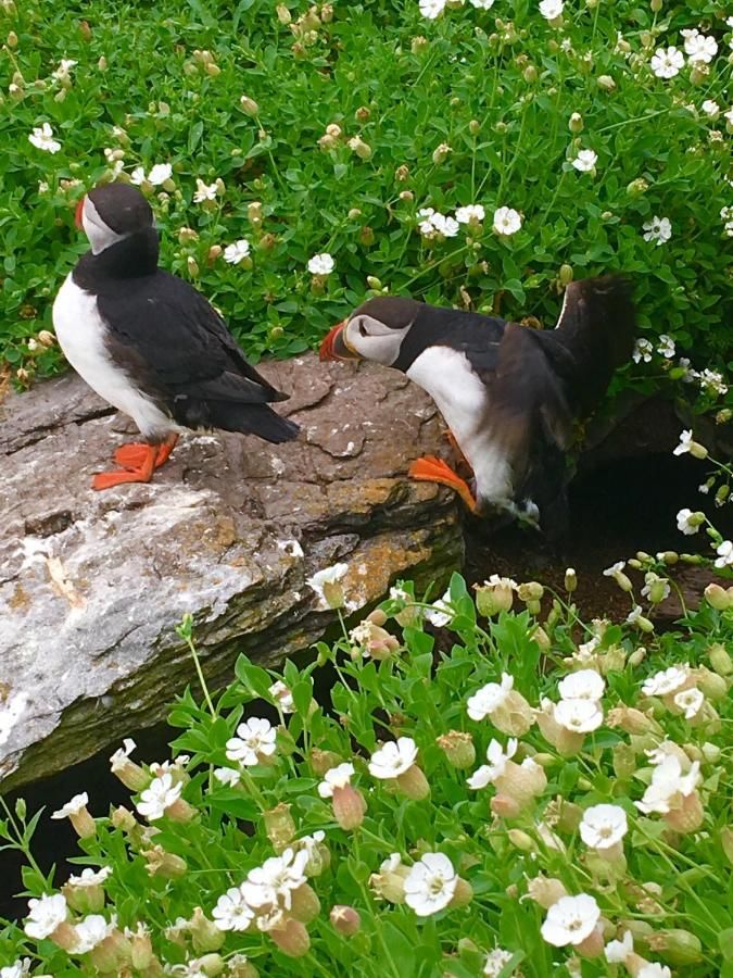 Дома для отпуска Cul Cottage Остров Валентия