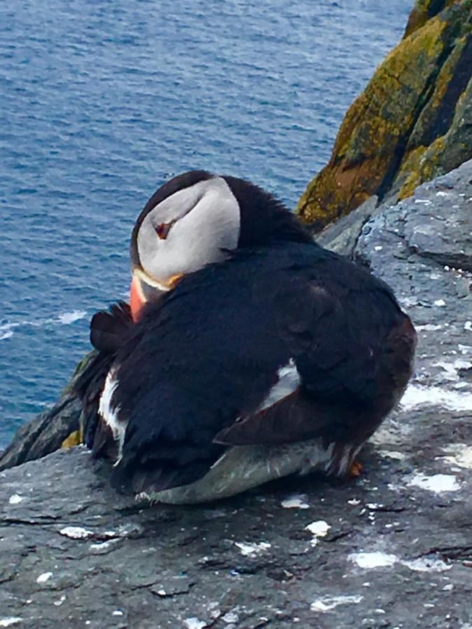 Дома для отпуска Cul Cottage Остров Валентия