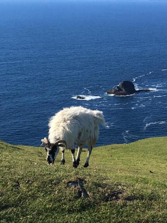 Дома для отпуска Cul Cottage Остров Валентия