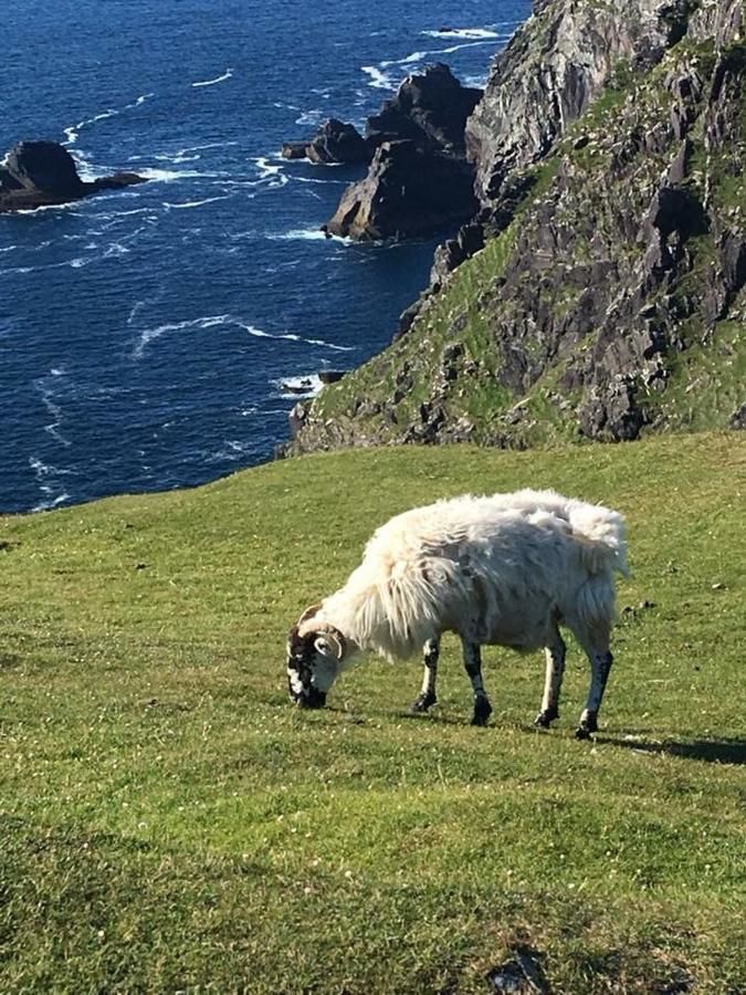 Дома для отпуска Cul Cottage Остров Валентия